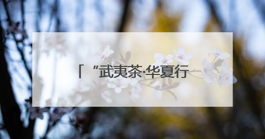 “武夷茶·华夏行”北京夏季品鉴交流活动暨国际茶日福建会客厅·建阳小白茶品牌推介会启幕！