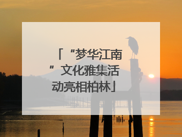 “梦华江南”文化雅集活动亮相柏林