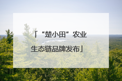 “楚小田”农业生态链品牌发布
