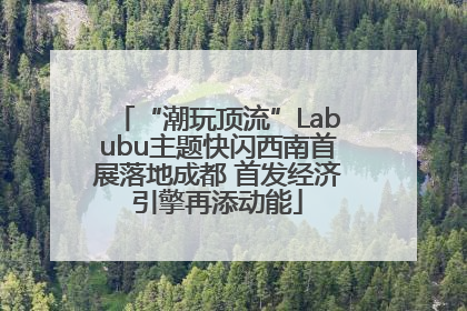 “潮玩顶流”Labubu主题快闪西南首展落地成都 首发经济引擎再添动能
