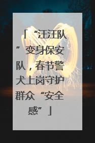 “汪汪队”变身保安队，春节警犬上岗守护群众“安全感”