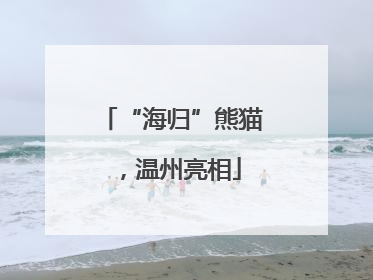 “海归”熊猫，温州亮相