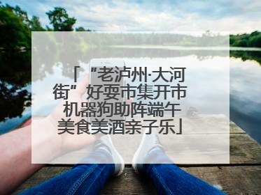 “老泸州·大河街”好耍市集开市 机器狗助阵端午美食美酒亲子乐