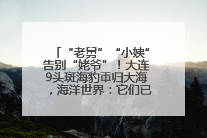 “老舅”“小姨”告别“姥爷”！大连9头斑海豹重归大海，海洋世界：它们已具备野外生存能力
