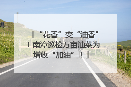 “花香”变“油香”！南漳巡检万亩油菜为增收“加油”！