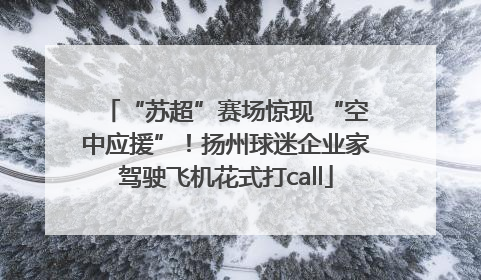 “苏超”赛场惊现 “空中应援”！扬州球迷企业家驾驶飞机花式打call