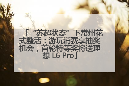 “苏超状态”下常州花式整活：游玩消费享抽奖机会，首轮特等奖将送理想 L6 Pro