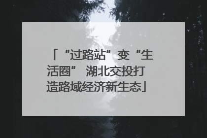 “过路站”变“生活圈” 湖北交投打造路域经济新生态