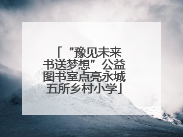 “豫见未来 书送梦想”公益图书室点亮永城五所乡村小学