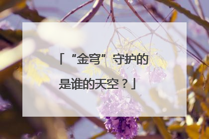 “金穹”守护的是谁的天空？