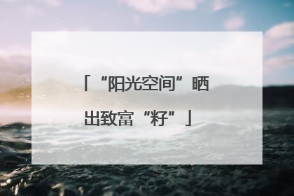 “阳光空间”晒出致富“籽”