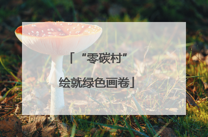 “零碳村” 绘就绿色画卷