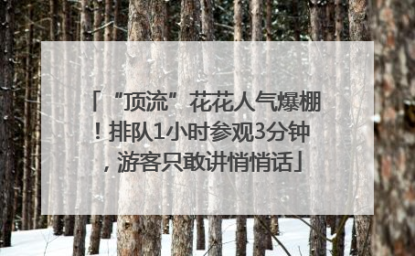 “顶流”花花人气爆棚！排队1小时参观3分钟，游客只敢讲悄悄话