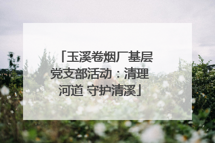 玉溪卷烟厂基层党支部活动：清理河道 守护清溪