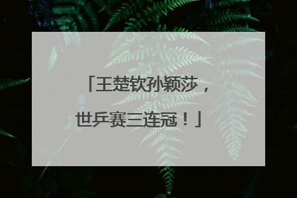 王楚钦孙颖莎，世乒赛三连冠！