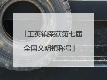 王英镇荣获第七届全国文明镇称号