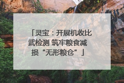 灵宝：开展机收比武检测 筑牢粮食减损“无形粮仓”