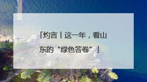 灼言丨这一年，看山东的“绿色答卷”