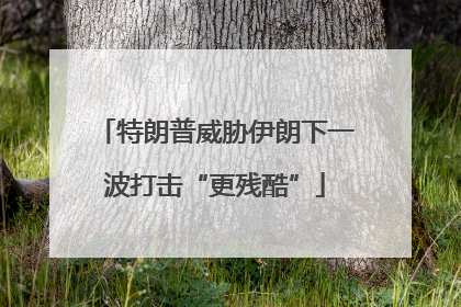 特朗普威胁伊朗下一波打击“更残酷”