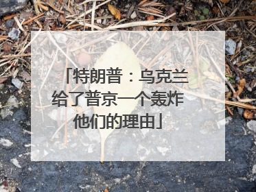 特朗普：乌克兰给了普京一个轰炸他们的理由