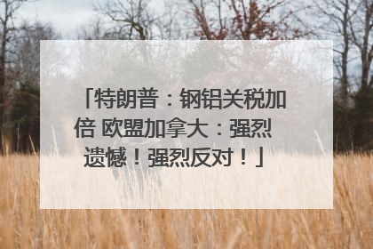 特朗普：钢铝关税加倍 欧盟加拿大：强烈遗憾！强烈反对！