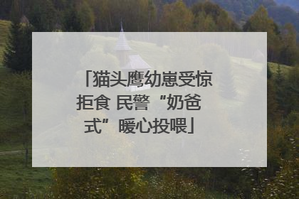 猫头鹰幼崽受惊拒食 民警“奶爸式”暖心投喂