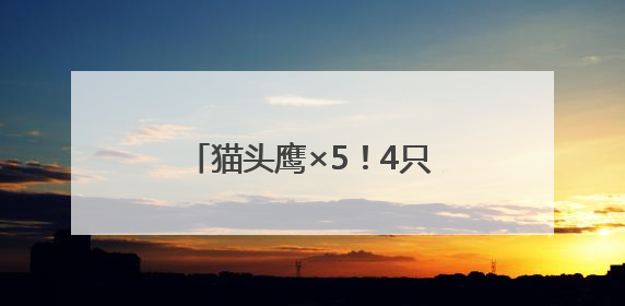 猫头鹰×5！4只在闲置房“安家”