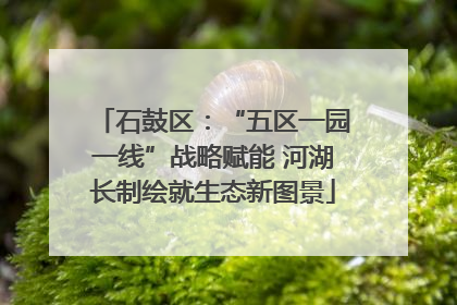 石鼓区：“五区一园一线”战略赋能 河湖长制绘就生态新图景