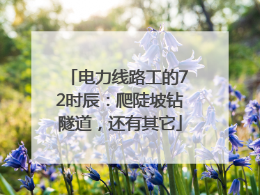 电力线路工的72时辰：爬陡坡钻隧道，还有其它