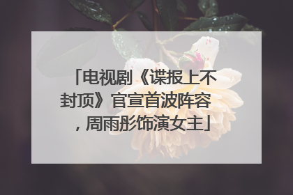 电视剧《谍报上不封顶》官宣首波阵容，周雨彤饰演女主
