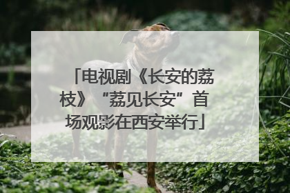 电视剧《长安的荔枝》“荔见长安”首场观影在西安举行