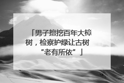 男子擅挖百年大樟树，检察护绿让古树“老有所依”