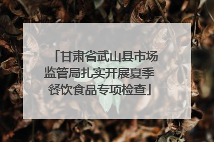 甘肃省武山县市场监管局扎实开展夏季餐饮食品专项检查
