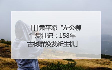 甘肃平凉“左公柳”复壮记：158年古树群焕发新生机