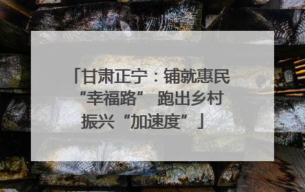 甘肃正宁：铺就惠民“幸福路” 跑出乡村振兴“加速度”