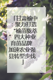 甘肃榆中：聚力打造“榆苗陇萃”四大种业育苗品牌 加速农业强县转型步伐