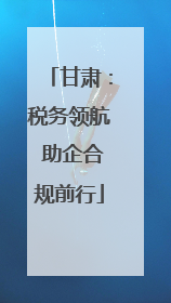 甘肃：税务领航 助企合规前行