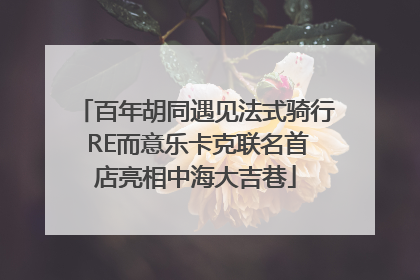 百年胡同遇见法式骑行 RE而意乐卡克联名首店亮相中海大吉巷
