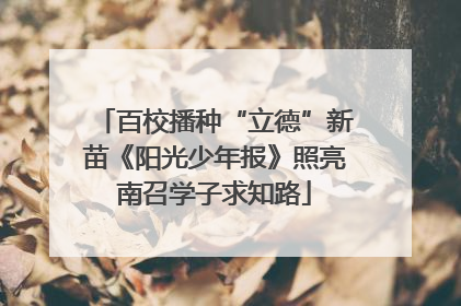 百校播种“立德”新苗《阳光少年报》照亮南召学子求知路
