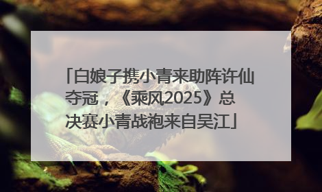 白娘子携小青来助阵许仙夺冠，《乘风2025》总决赛小青战袍来自吴江