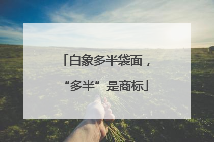 白象多半袋面，“多半”是商标