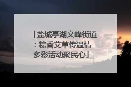 盐城亭湖文峰街道：粽香艾草传温情 多彩活动聚民心