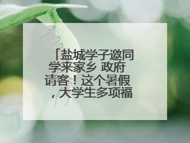 盐城学子邀同学来家乡 政府请客！这个暑假，大学生多项福利免费游盐城