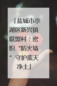 盐城市亭湖区新兴镇联盟村：密织“防火墙”守护蓝天净土