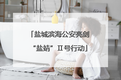 盐城滨海公安亮剑“盐靖”Ⅱ号行动