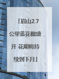 眉山2.7公里蓝花楹盛开 花期将持续到下月