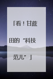 看！甘蔗田的“科技范儿”