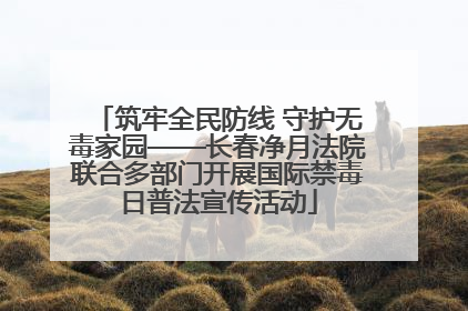 筑牢全民防线 守护无毒家园——长春净月法院联合多部门开展国际禁毒日普法宣传活动