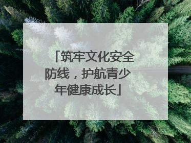 筑牢文化安全防线，护航青少年健康成长