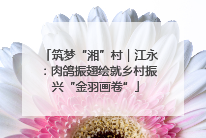 筑梦“湘”村｜江永：肉鸽振翅绘就乡村振兴“金羽画卷”